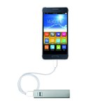 Powerbank batterie de secours 2600mAh + chargeur USB